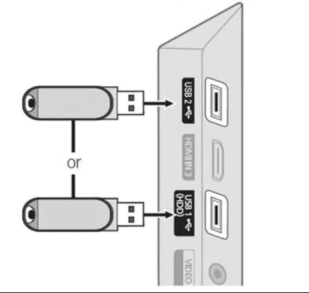 Connect the USB drive to the TV.
