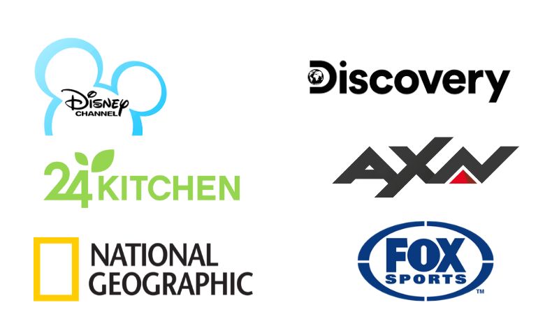 Disney, discovery, axn, 24 kitchen, national geographic, fox sports