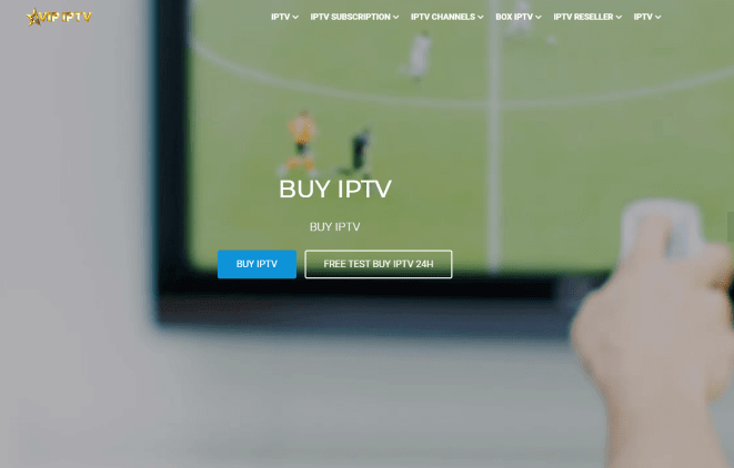 VIP IPTV official page subscription menu.