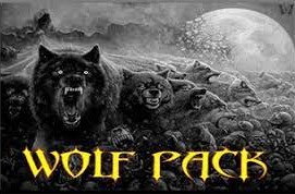 Wolf Pack add-on