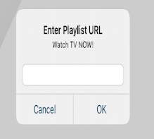 Enter IPTV Main URL